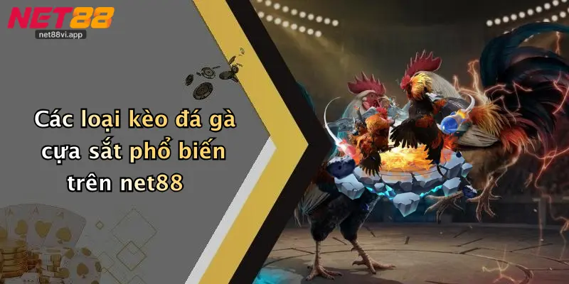 Các loại kèo đá gà cựa sắt phổ biến trên net88