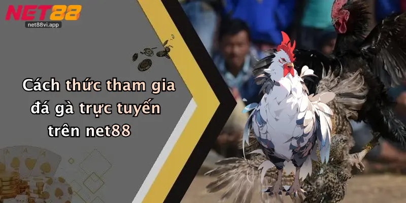Cách thức tham gia đá gà trực tuyến trên net88