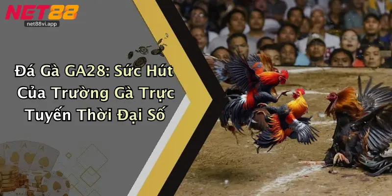 Đá Gà GA28: Sức Hút Của Trường Gà Trực Tuyến Thời Đại Số