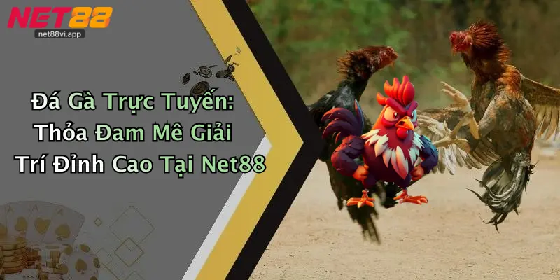 Đá Gà Trực Tuyến: Thỏa Đam Mê Giải Trí Đỉnh Cao Tại Net88