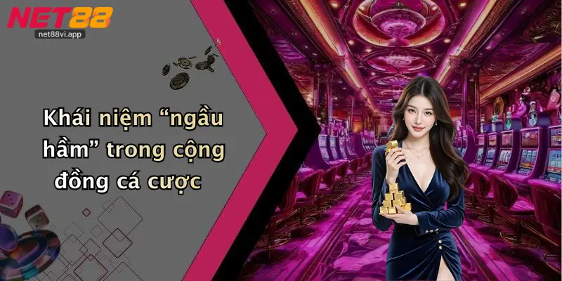 Khái niệm “ngầu hầm” trong cộng đồng cá cược