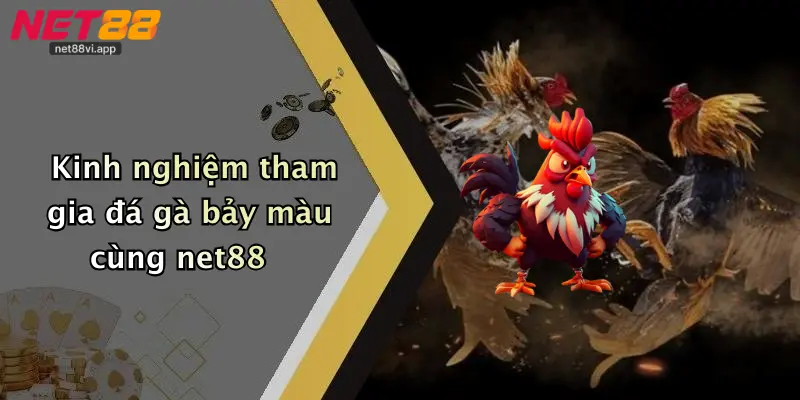 Kinh nghiệm tham gia đá gà bảy màu cùng net88