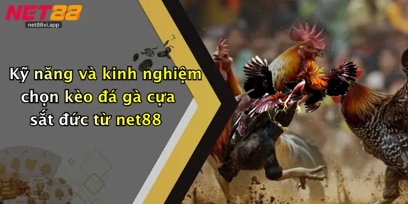 Kỹ năng và kinh nghiệm chọn kèo đá gà cựa sắt đức từ net88