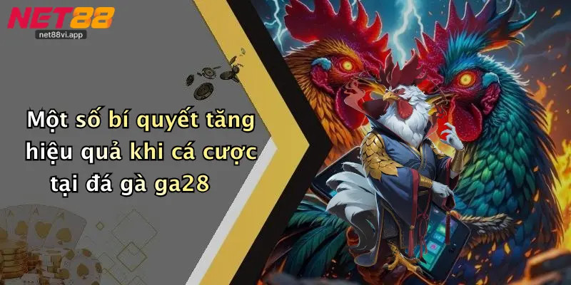 Một số bí quyết tăng hiệu quả khi cá cược tại đá gà ga28