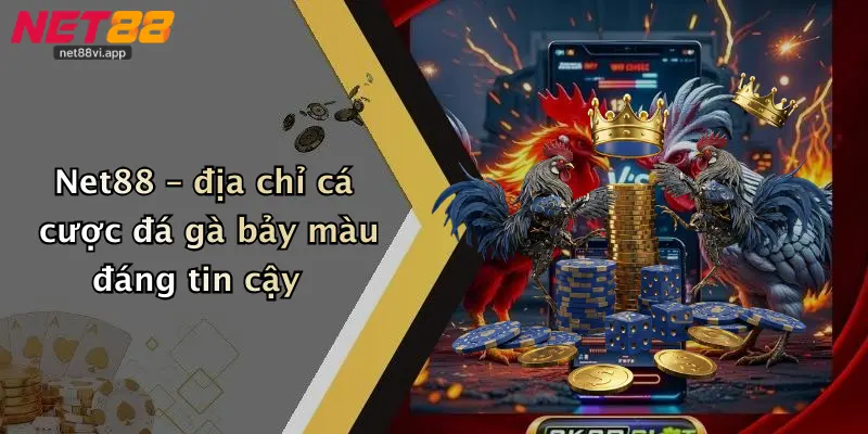 Net88 – địa chỉ cá cược đá gà bảy màu đáng tin cậy