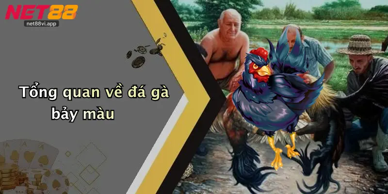 Tổng quan về đá gà bảy màu