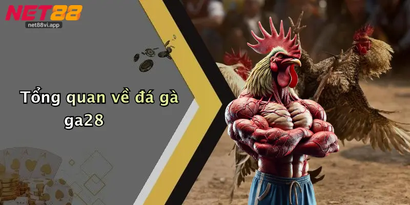 Tổng quan về đá gà ga28