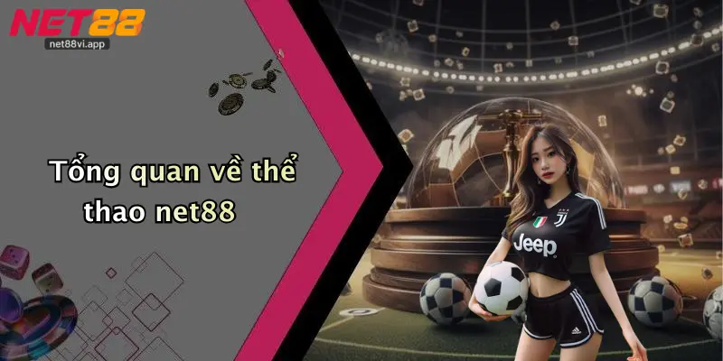 Tổng quan về thể thao net88