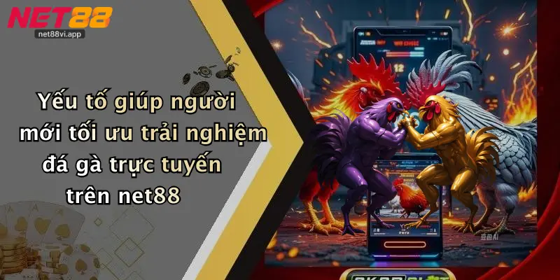 Yếu tố giúp người mới tối ưu trải nghiệm đá gà trực tuyến trên net88